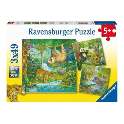 Ravensburger Puzzle Zvířata v džungli 3x49 dílků