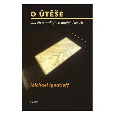 O útěše - Jak žít s nadějí v temných časech - Michael Ignatieff