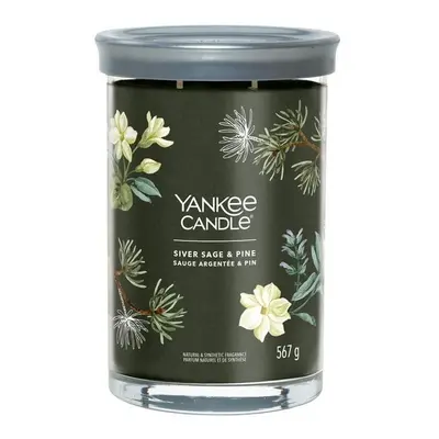 YANKEE CANDLE Silver Sage & Pine svíčka 567g / 2 knoty (Signature velký)