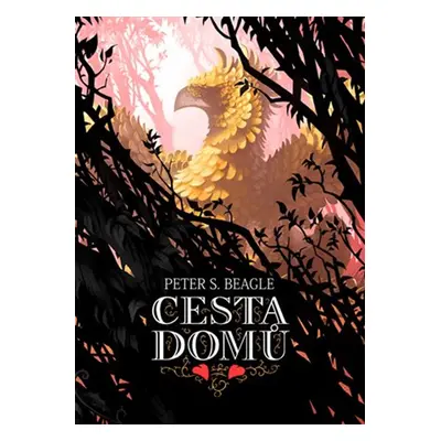 Cesta domů - Peter S. Beagle