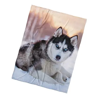 Mikroplyšová deka Pes Sibiřský Husky 150x200 cm