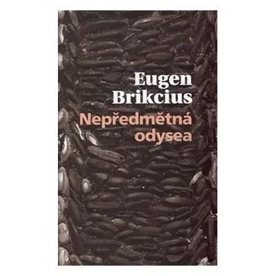 Nepředmětná Odyssea - Eugen Brikcius