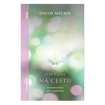 Osvícení na cestu - Buddhismus pro každého - David Michie