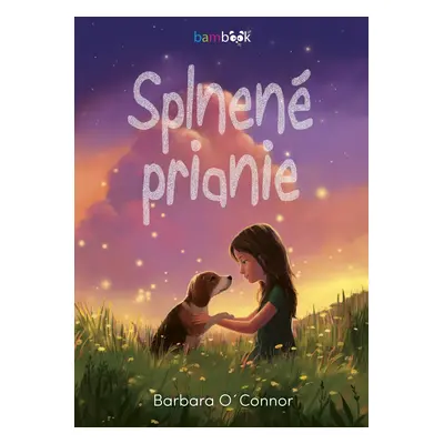 Splnené prianie - Barbara O´Connor