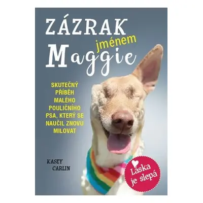 Zázrak jménem Maggie - Kasey Carlin