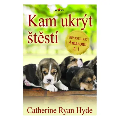 Kam ukrýt štěstí - Catherine Ryan Hyde