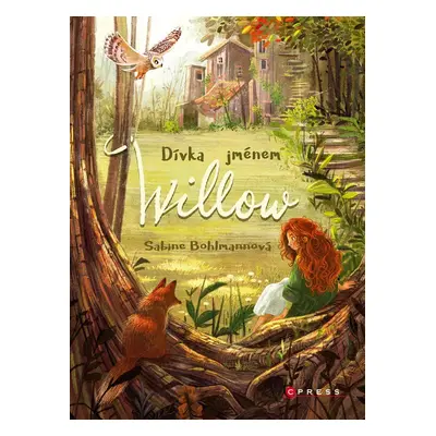 Dívka jménem Willow, 2. vydání - Sabine Bohlmannová