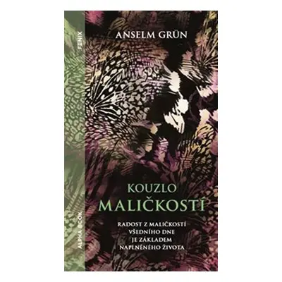 Kouzlo maličkostí - Radost z maličkosti všedního dnes je základem naplněného života - Anselm Grü