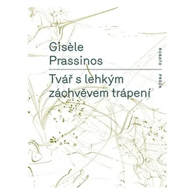 Tvář s lehkým záchvěvem trápení - Gisele Prassinos