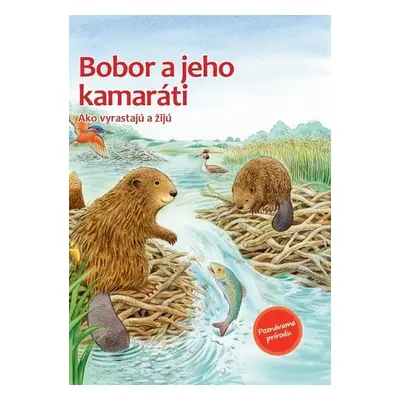 Bobor a jeho kamaráti - Friederun Reichenstetter