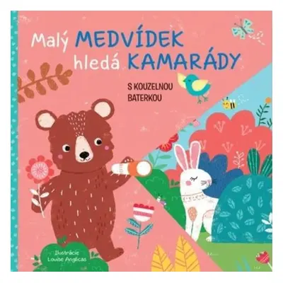 Malý medvídek hledá kamarády s kouzelnou baterkou