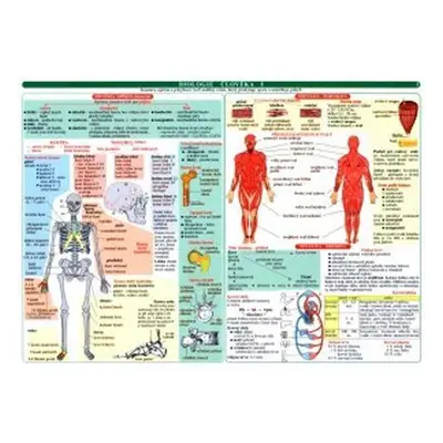 Tabulka - biologie člověka, 1. vydání