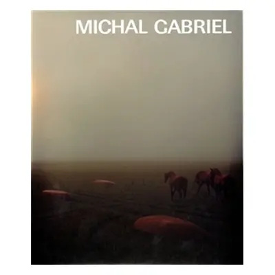 Michal Gabriel - kolektiv autorů