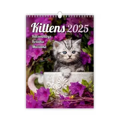 Kalendář nástěnný 2025 - Kittens / Katzenbabys / Koťátka / Mačičky