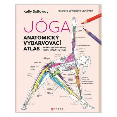 Jóga - Anatomický vybarvovací atlas - Kelly Solloway