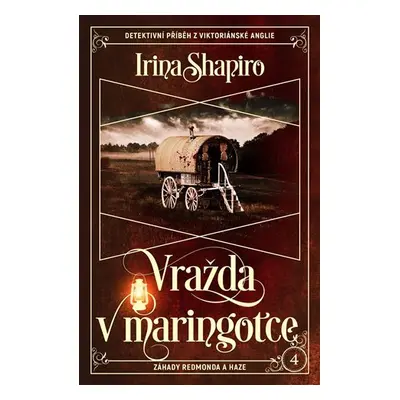 Vražda v maringotce - Irina Shapiro