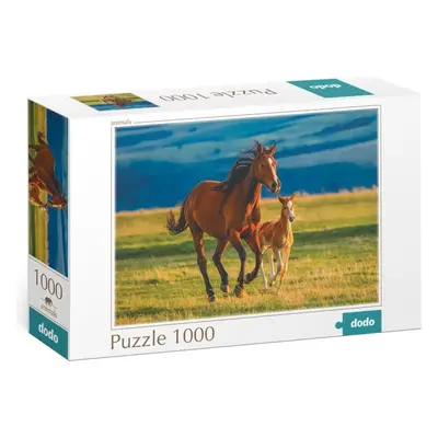 Puzzle Výchova hříběte 1000 dílků