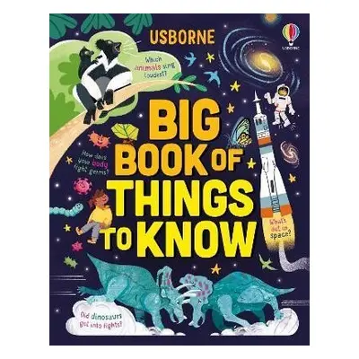 Big Book of Things to Know: A Fact Book for Kids - James Maclaine