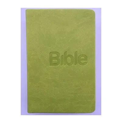 Bible, překlad 21. století (Green) - Alexandr Flek