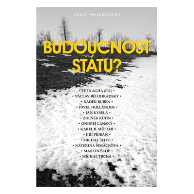 Budoucnost státu? - Petr Agha