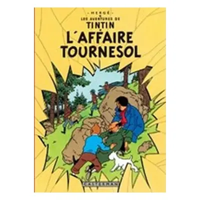 Les Aventures de Tintin 18: L´affaire Tournesol - Hergé