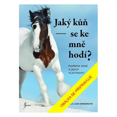 Jaký kůň se ke mně hodí? - Sibylle Luise Binder