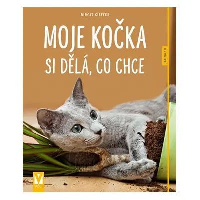 Moje kočka si dělá, co chce - Jak na to - Birgit Kieffer