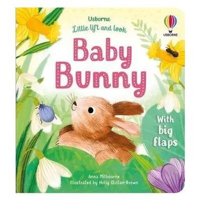 Little Lift and Look Baby Bunny - Anna Milbourneová