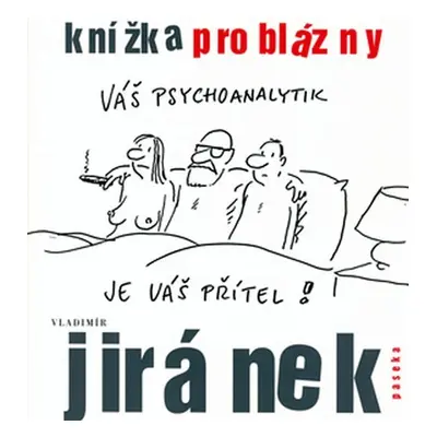 Knížka pro blázny - Vladimír Jiránek