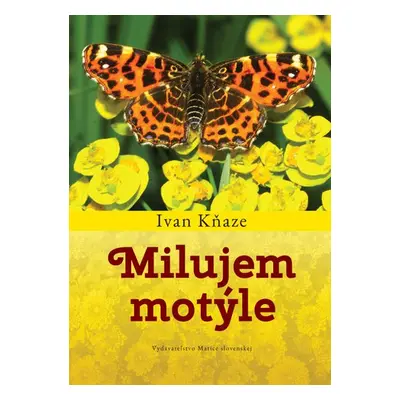 Milujem motýle - Ivan Kňaze