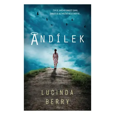 Andílek - Lucinda Berry