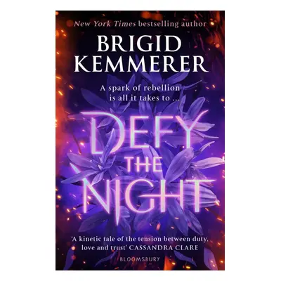 Defy the Night - Brigid Kemmererová