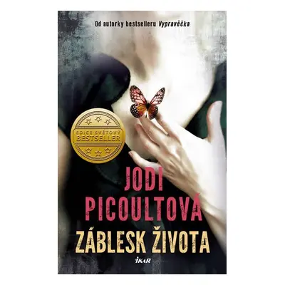 Záblesk života - Jodi Picoult