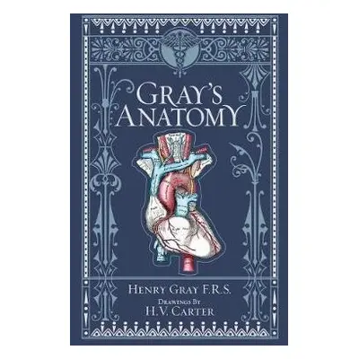 Gray´s Anatomy (Barnes & Noble Collectible Classics: Omnibus Edition) - Henry Gray