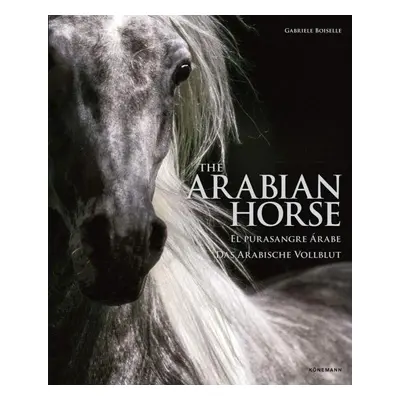 The Arabian Horse - Gabriele Boiselleová