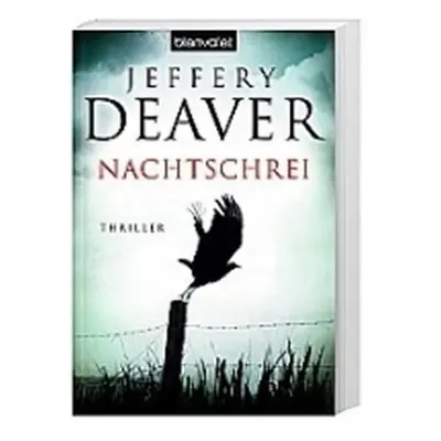 Nachtschrei - Jeffery Deaver