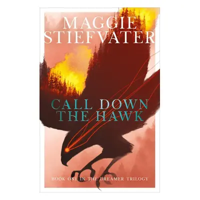 Call Down the Hawk (The Dreamer Trilogy #1) - Maggie Stiefvater