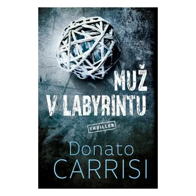 Muž v labyrintu - Donato Carrisi