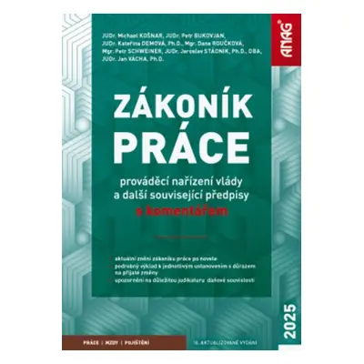 Zákoník práce, prováděcí nařízení vlády a další související předpisy - Michael Košnar; Petr Buko