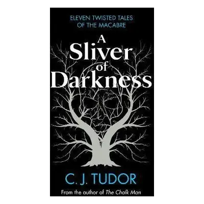 A Sliver of Darkness - C. J. Tudor