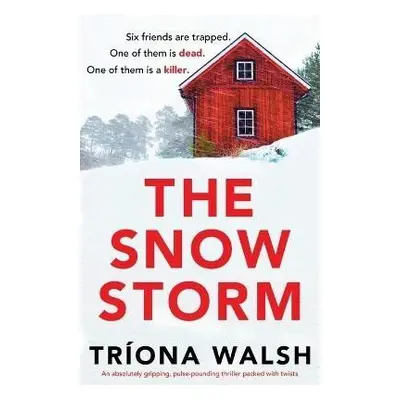 Snowstorm - Tríona Walsh