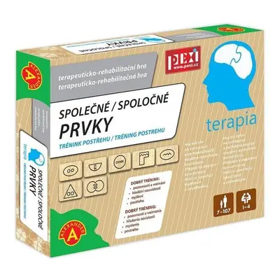 Terapia Společné prvky