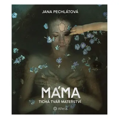 Máma - Tichá tvář mateřství - Jana Pechlátová