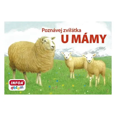 Poznávej zvířátka – U mámy - Kolektiv autorú