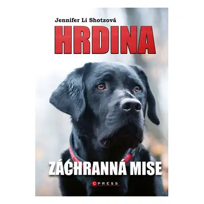 Hrdina: Záchranná mise - Jennifer Li Shotz