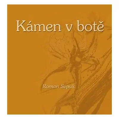 Kámen v botě - Roman Szpuk