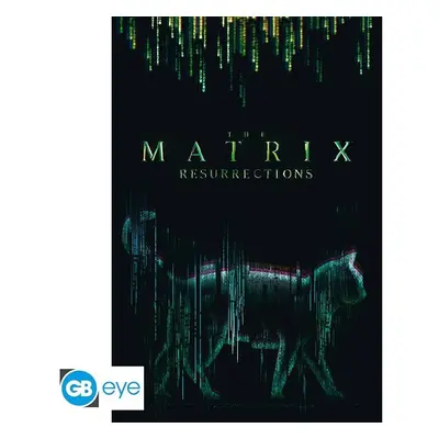 Matrix Plakát Maxi Kočka 91,5 x 61 cm