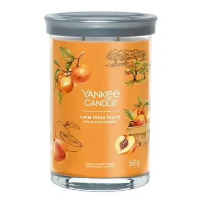 YANKEE CANDLE Farm Fresh Peach svíčka 567g / 2 knoty (Signature tumbler velký)