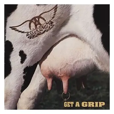 Aerosmith: Get A Grip - 2 LP - Aerosmith