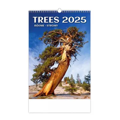 Kalendář nástěnný 2025 - Trees / Bäume / Stromy